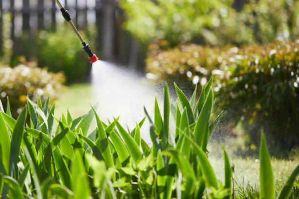 24/7 Emergency Mosquito Control experts in Williamsburg, KY